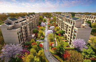 上海首創禧悅·晴朗 全景解析配套實景、樣板間與戶型設計